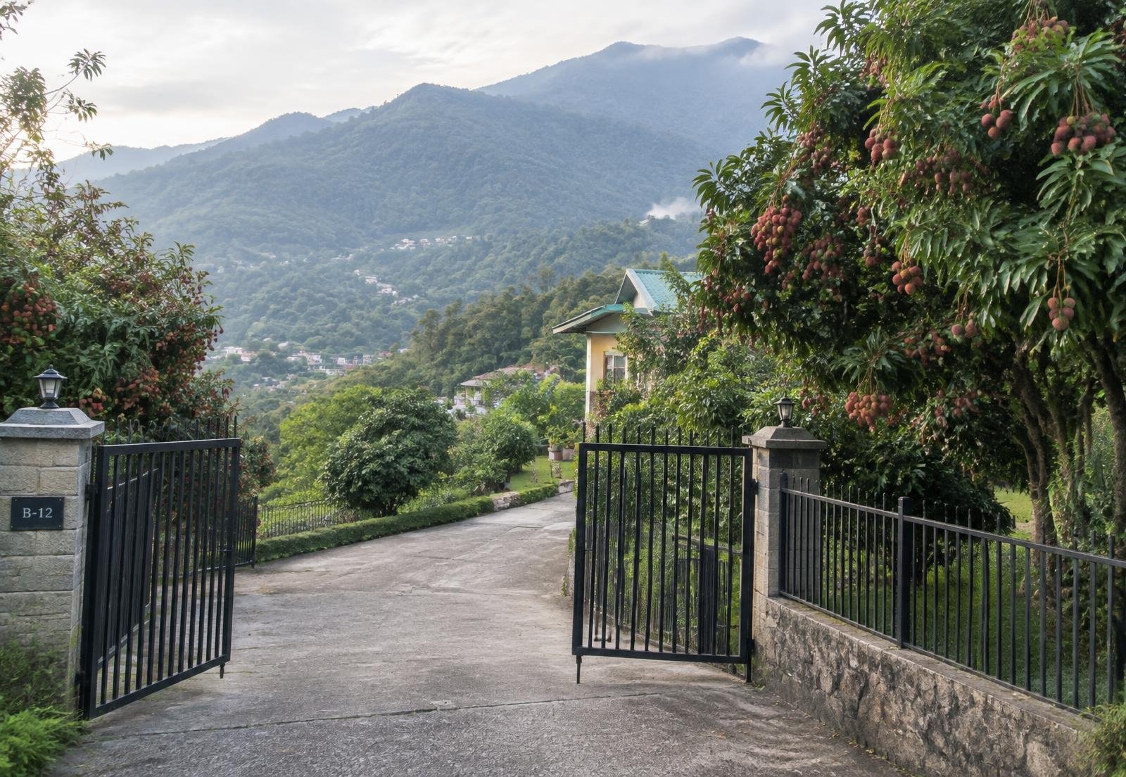 Lychee Lane Plot