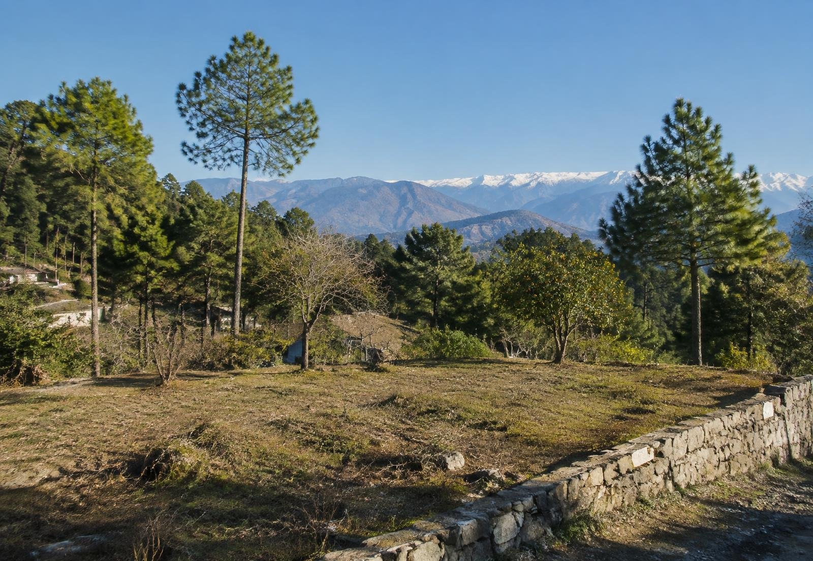 Pine Ridge Plot